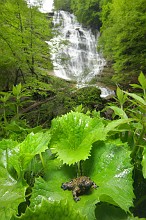 Ululone all'Acquacheta